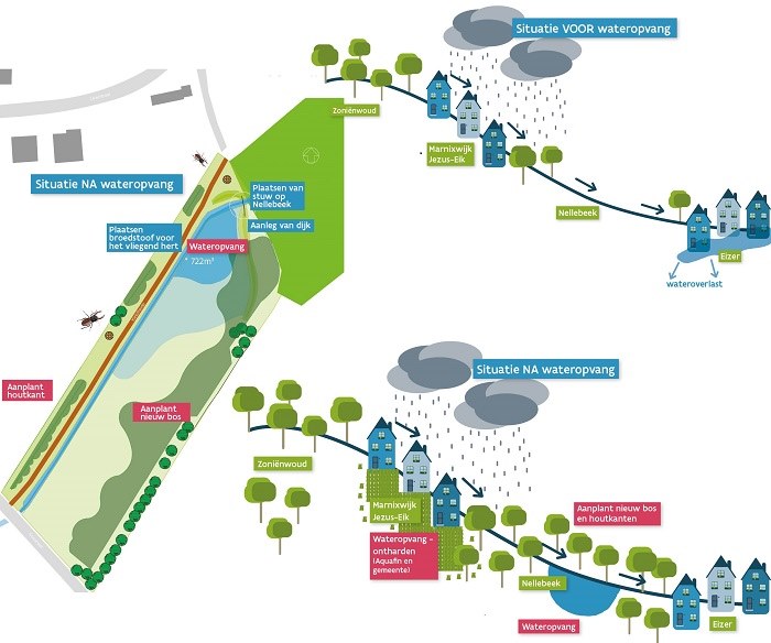 Restauration De L'hydromorphologie Dans La Vallée De L'Yse - LIFE Belini