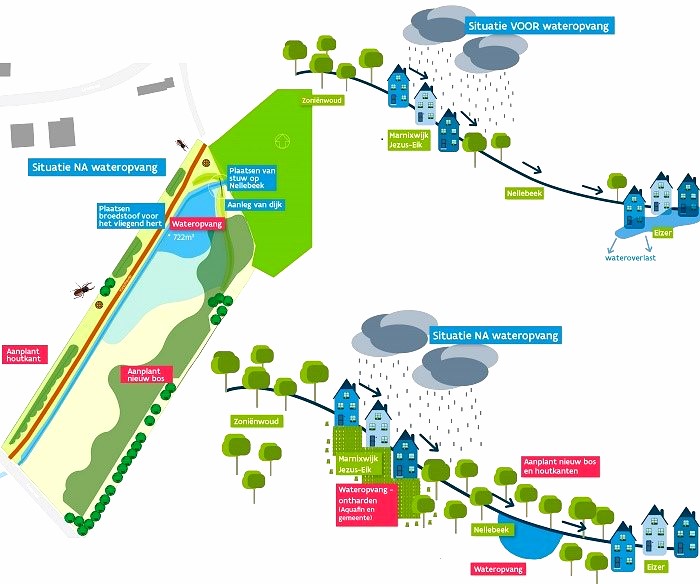 waterbufferbekken.jpg