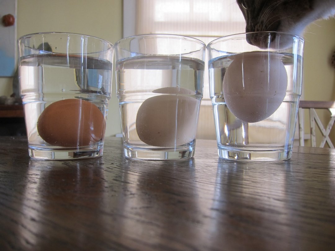 Яйцо в стакане