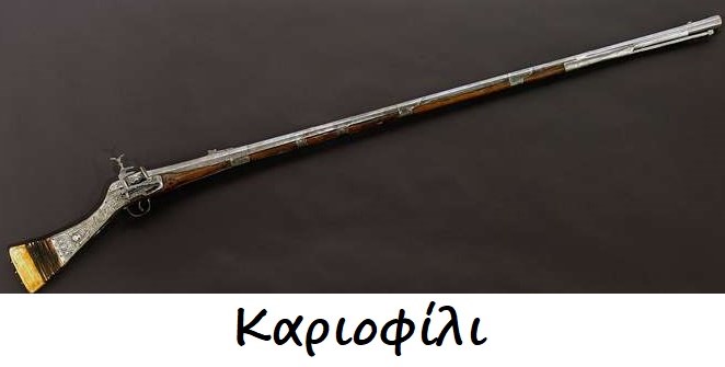 kariofili.jpg