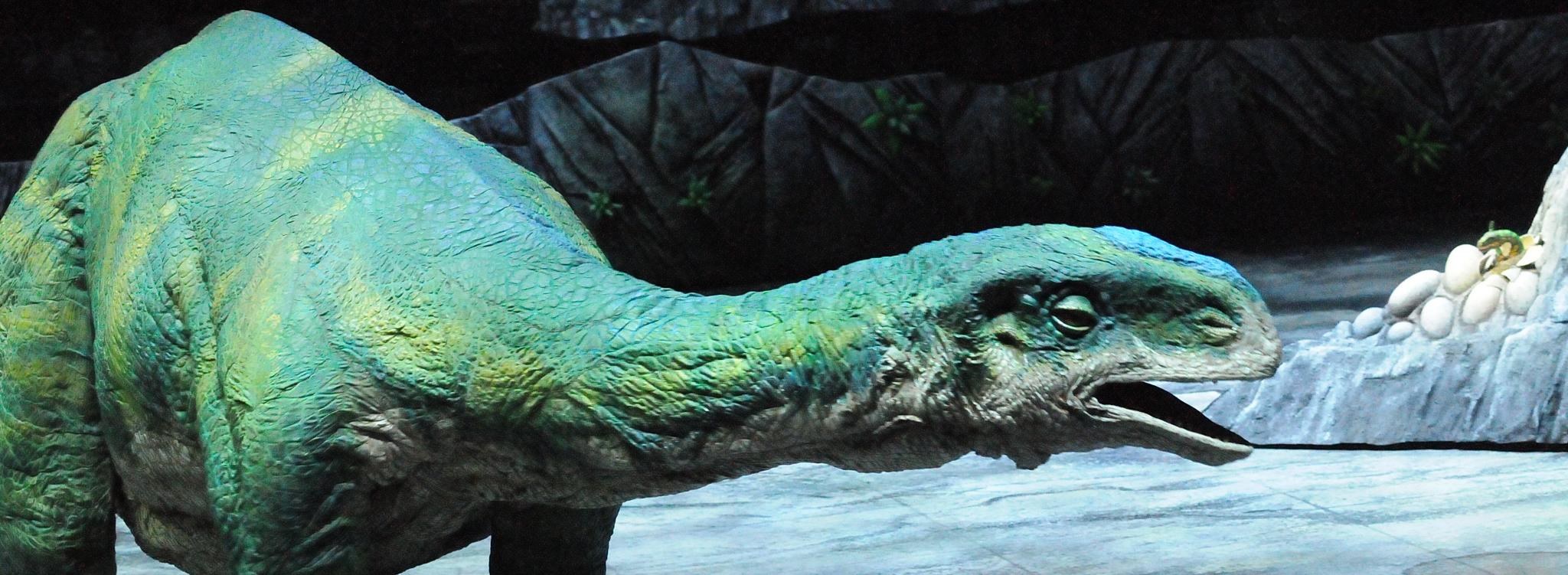 Il Piu Grande Carnivoro Mai Visto Al Mondo