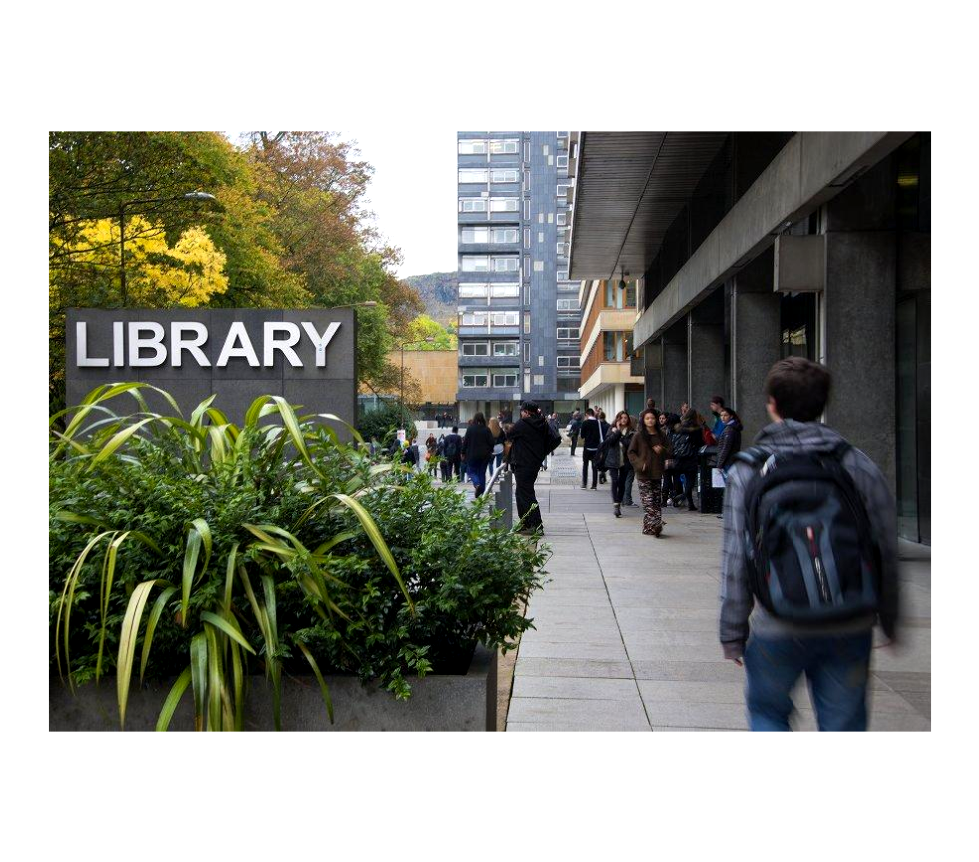 Outside the Main Library Entrance.png
 (Moderate)