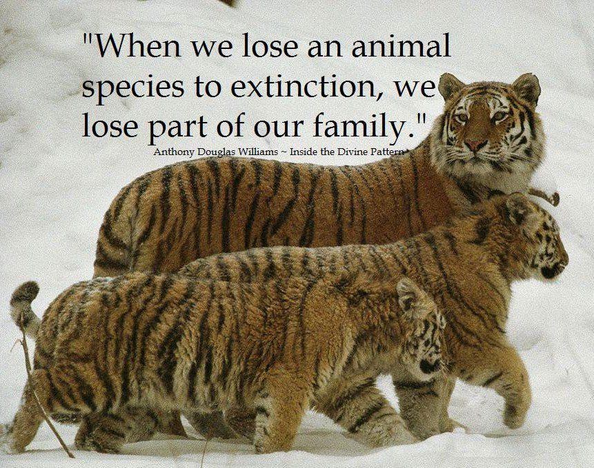World Animal Welfare Day 2022