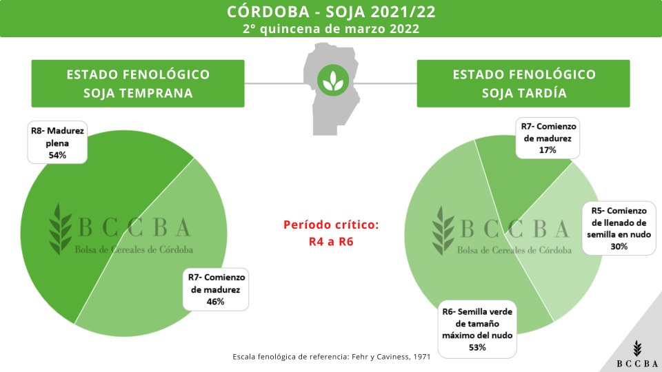 ImagenLocal.png
 (Moderado)
