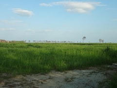 DSC04795.JPG