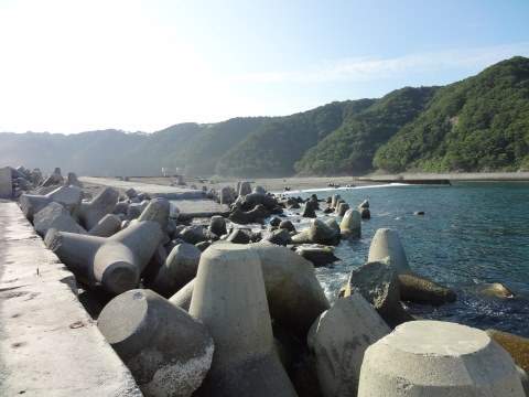 DSC01945.JPG