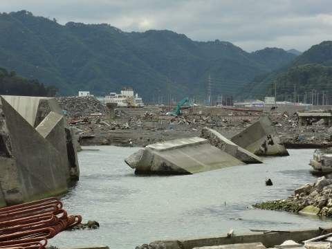 DSC01558.JPG
