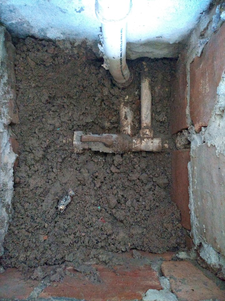 IMG_20181012_145936648.jpg
 (Moderado)