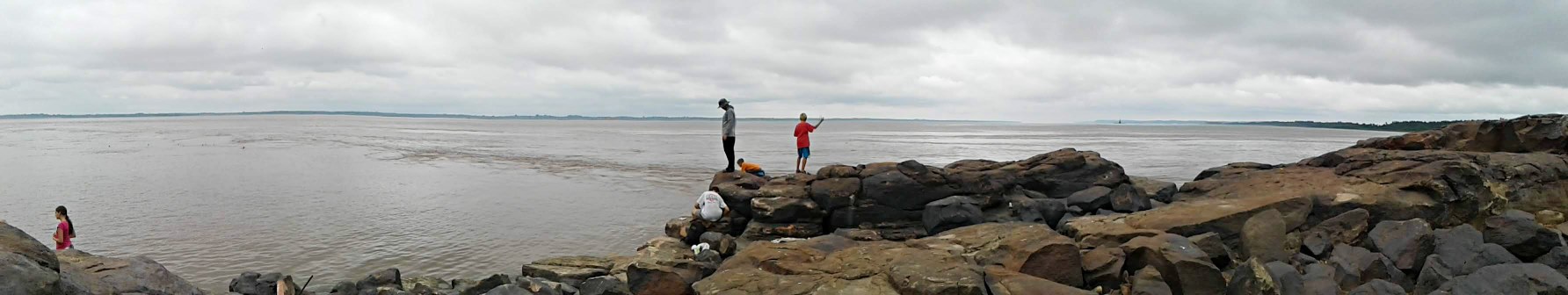 20181103_094201.jpg
 (Intenso)