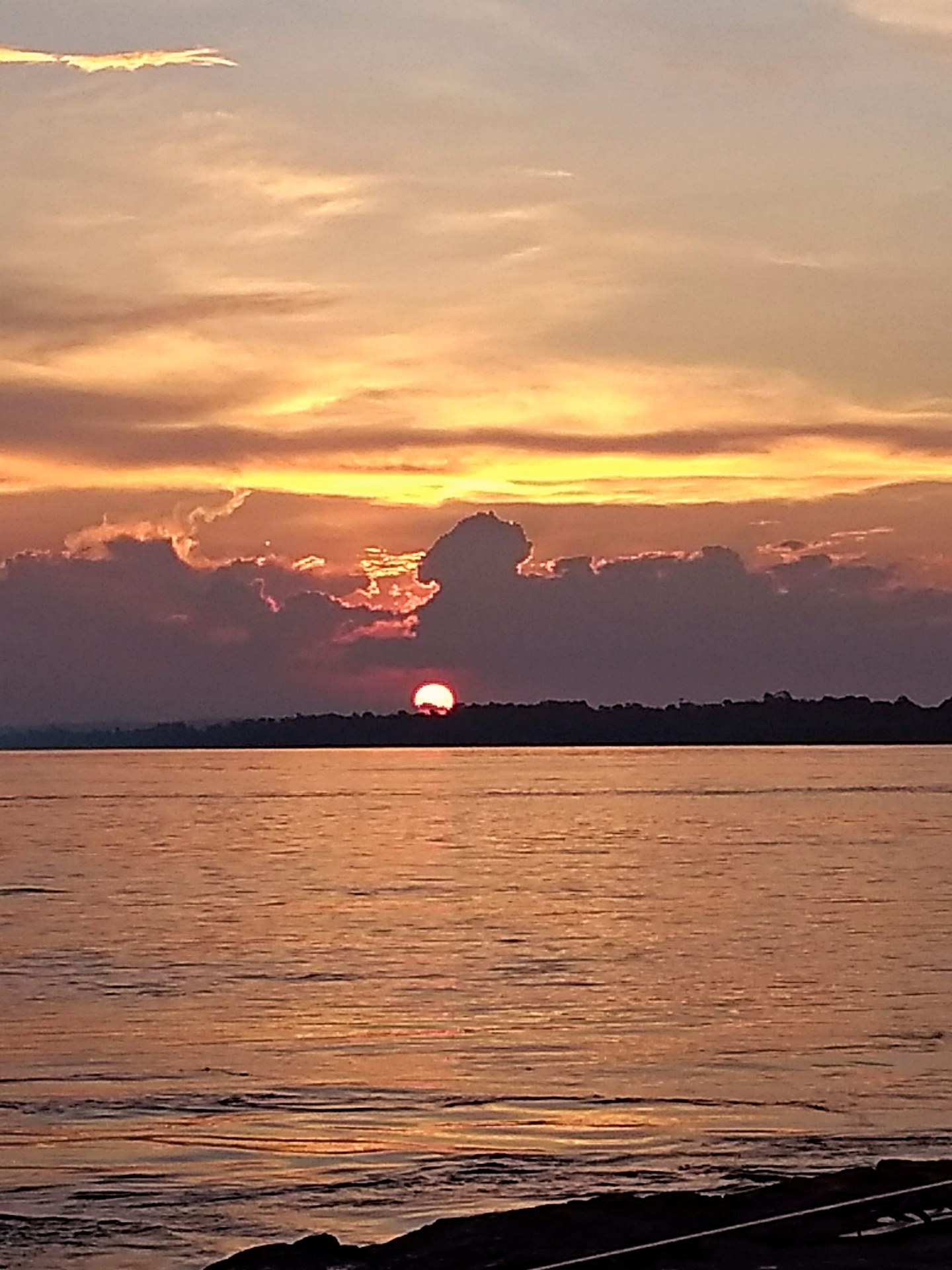 IMG_20181010_174632614.jpg
 (Moderado)