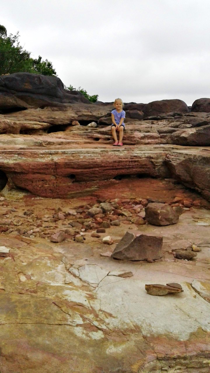 20181103_092803.jpg
 (Intenso)