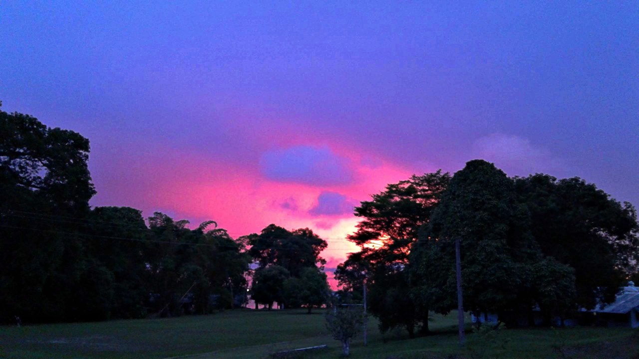 20181129_180107.jpg
 (Moderado)