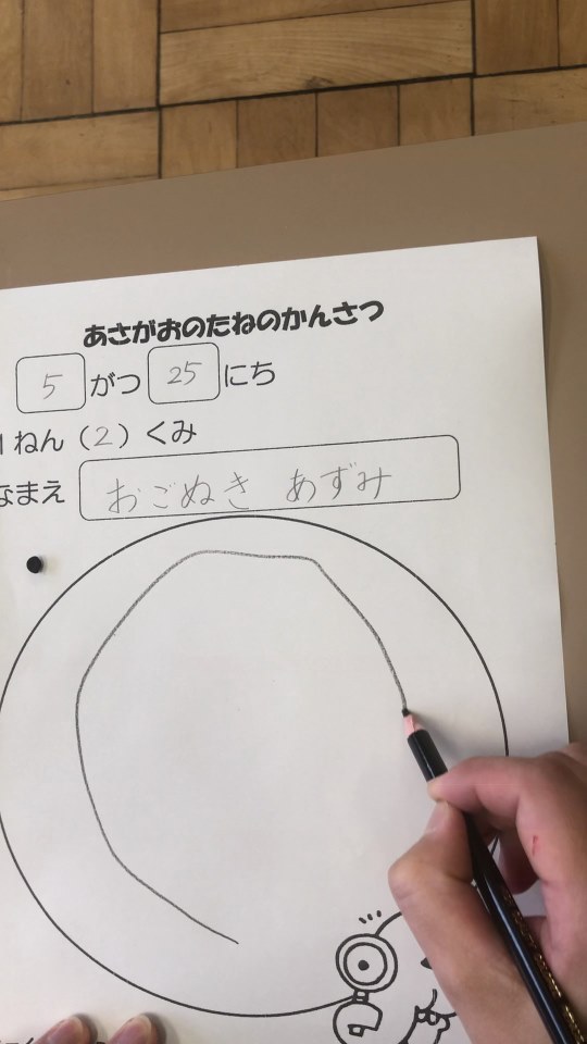 1年生 あさがおのたねのかんさつのしかた 5月25日