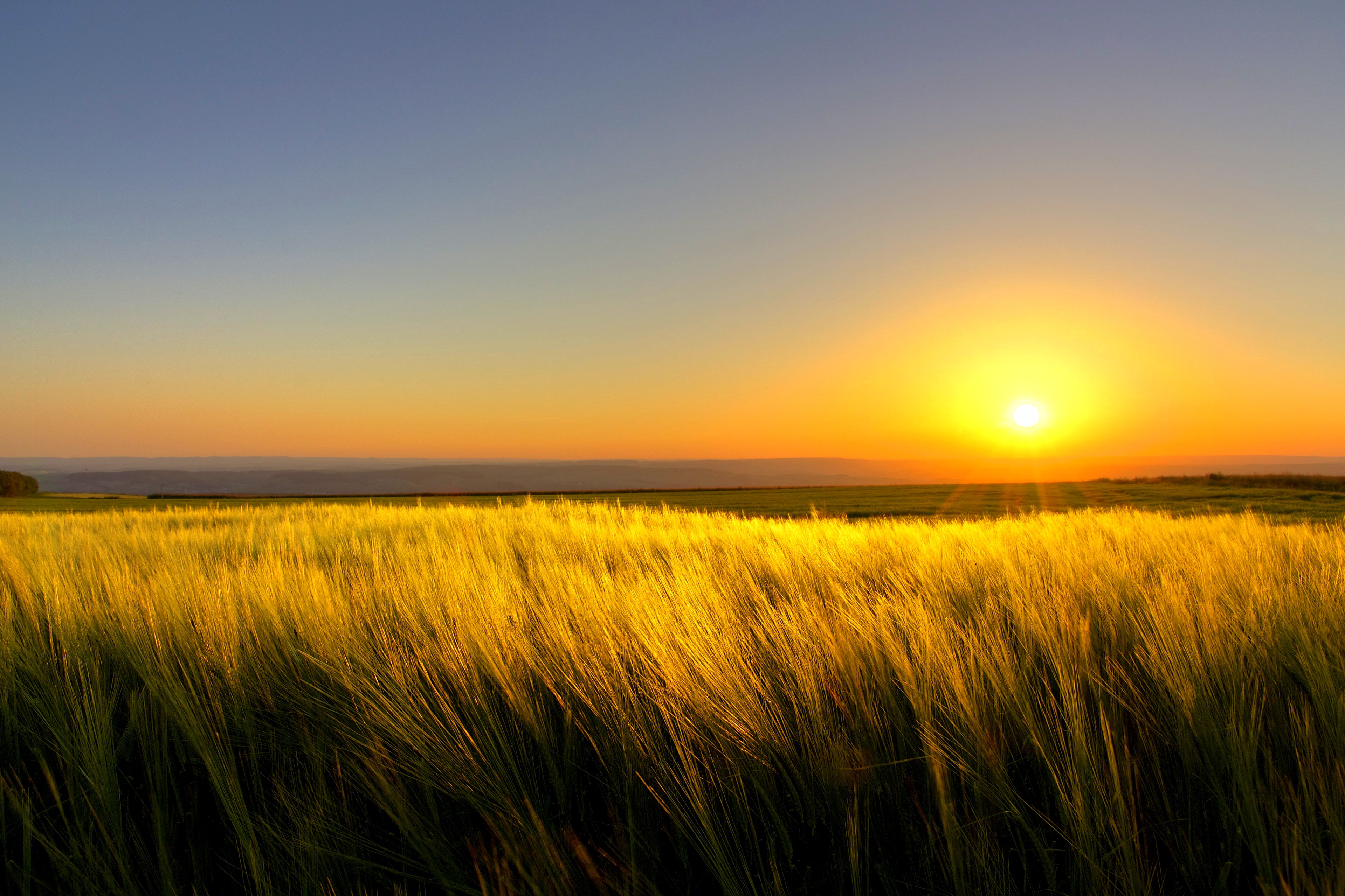 a sunny days end | flickr - photo sharing!