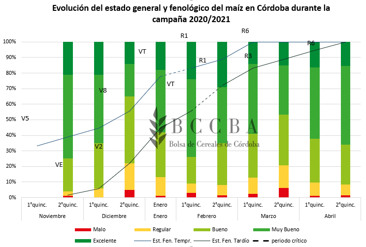 Estado general.PNG
 (Moderado)