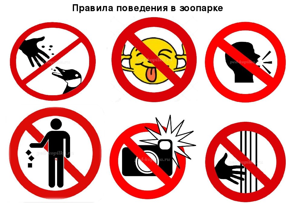 Правила поведения в зоопарке для детей в картинках