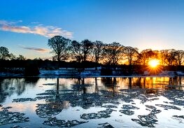 Wintery scene 4.jpg
