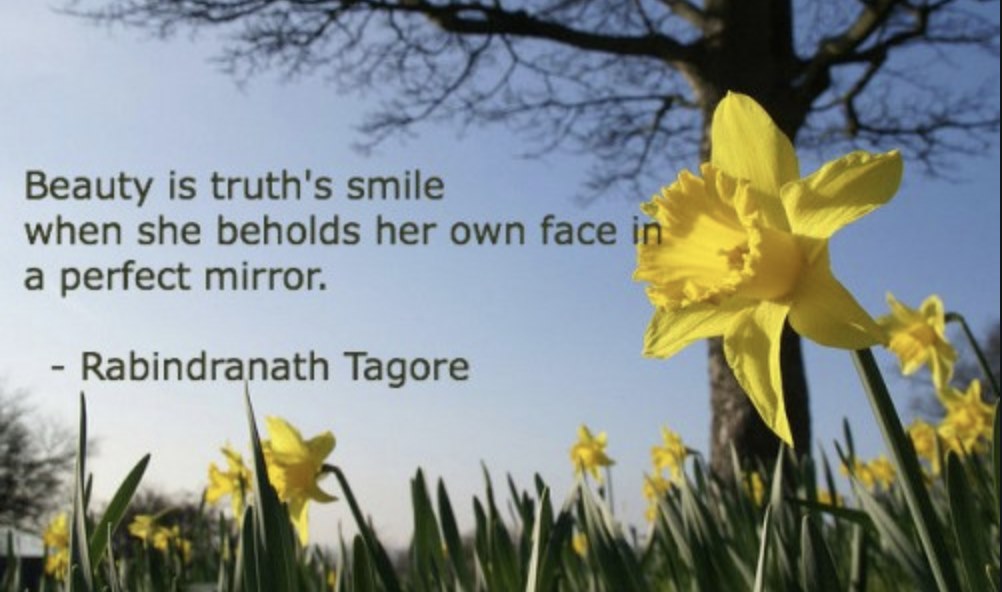 Daffodils by william wordsworth