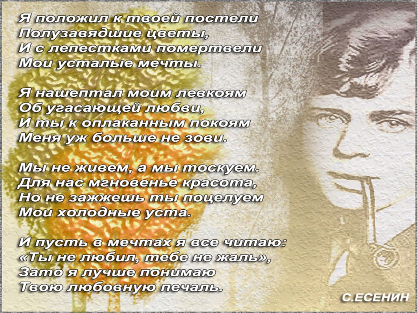 Сергей Есенин стихи о любви