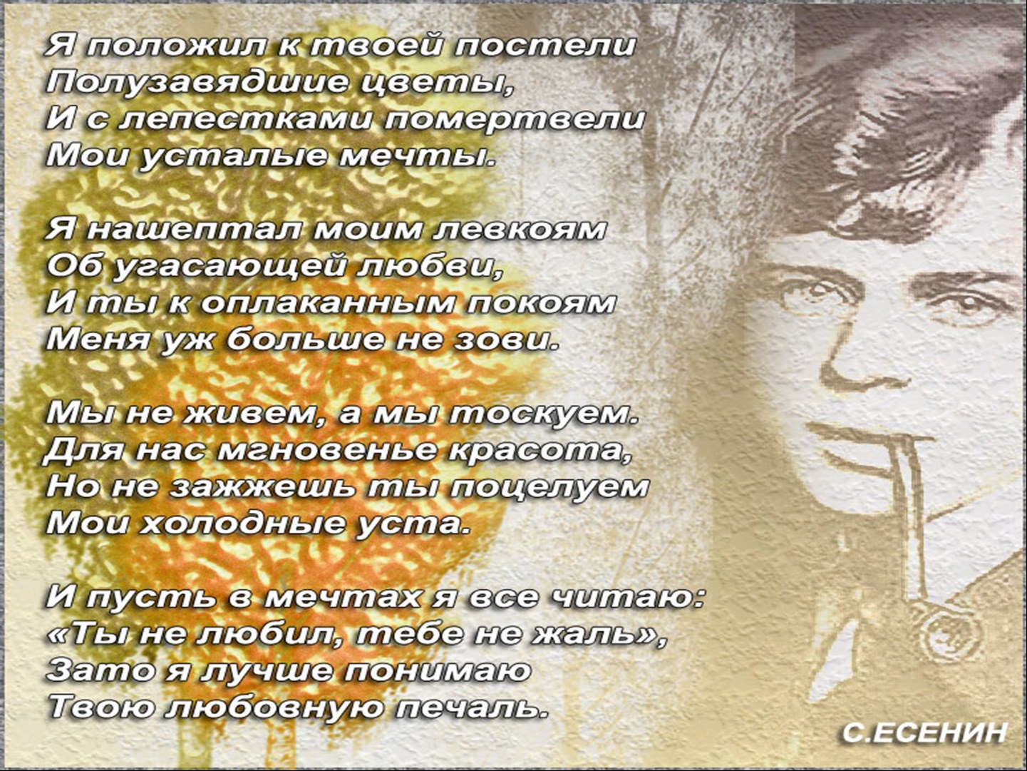 Песня положил я лене на колени. Стихи Есенина о любви. Стихотворение Есенина о любви. Есенин стихи о любви.