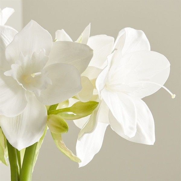 Crate & Barrel Amazon Lily Flowers (96 ILS) liked on Polyvore ...